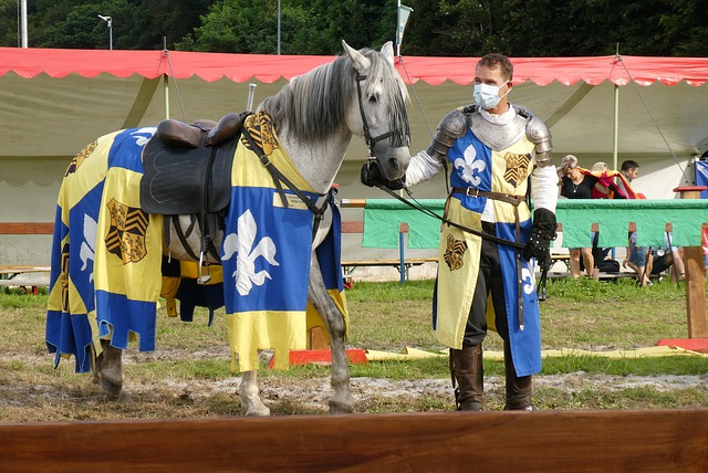 季冠军归属 季冠军归属