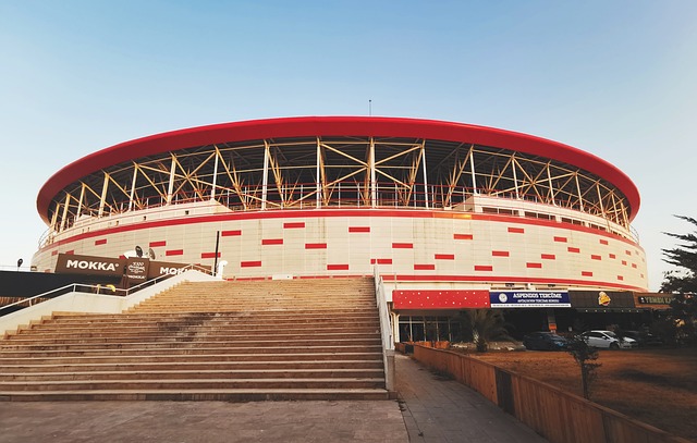 羽毛球格局 羽毛球格局