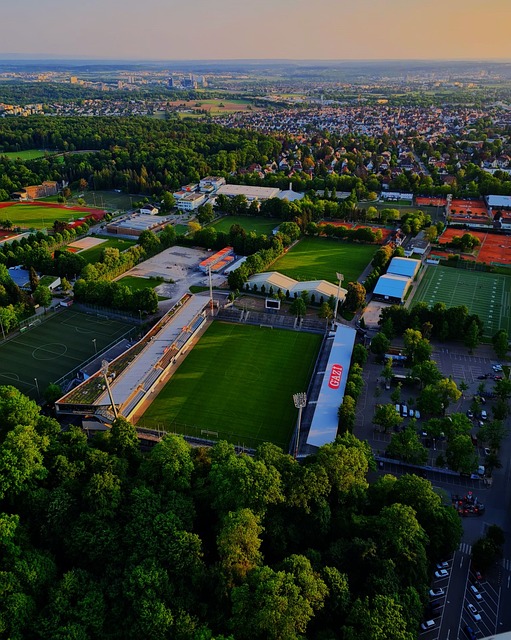 管理和战略 管理和战略