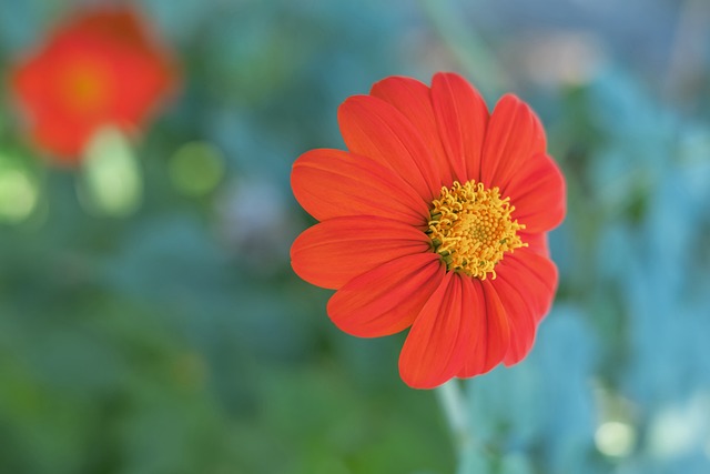 岁的布莱德 岁的布莱德