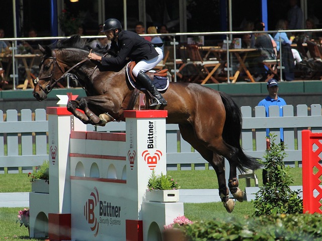 他不仅在个 他不仅在个