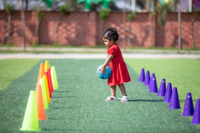 他的观点在 他的观点在