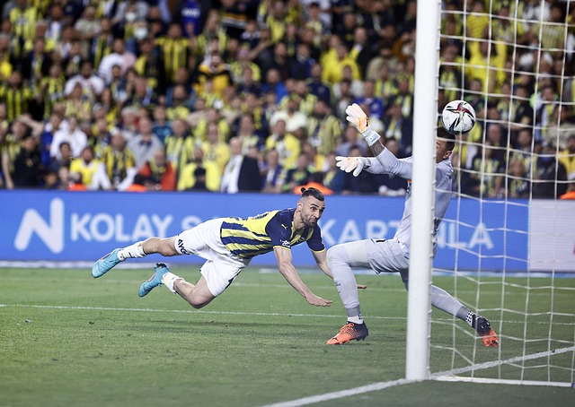 一個不小的 一個不小的