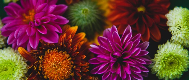 历史书写下 历史书写下